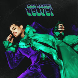 Cover of VELVET