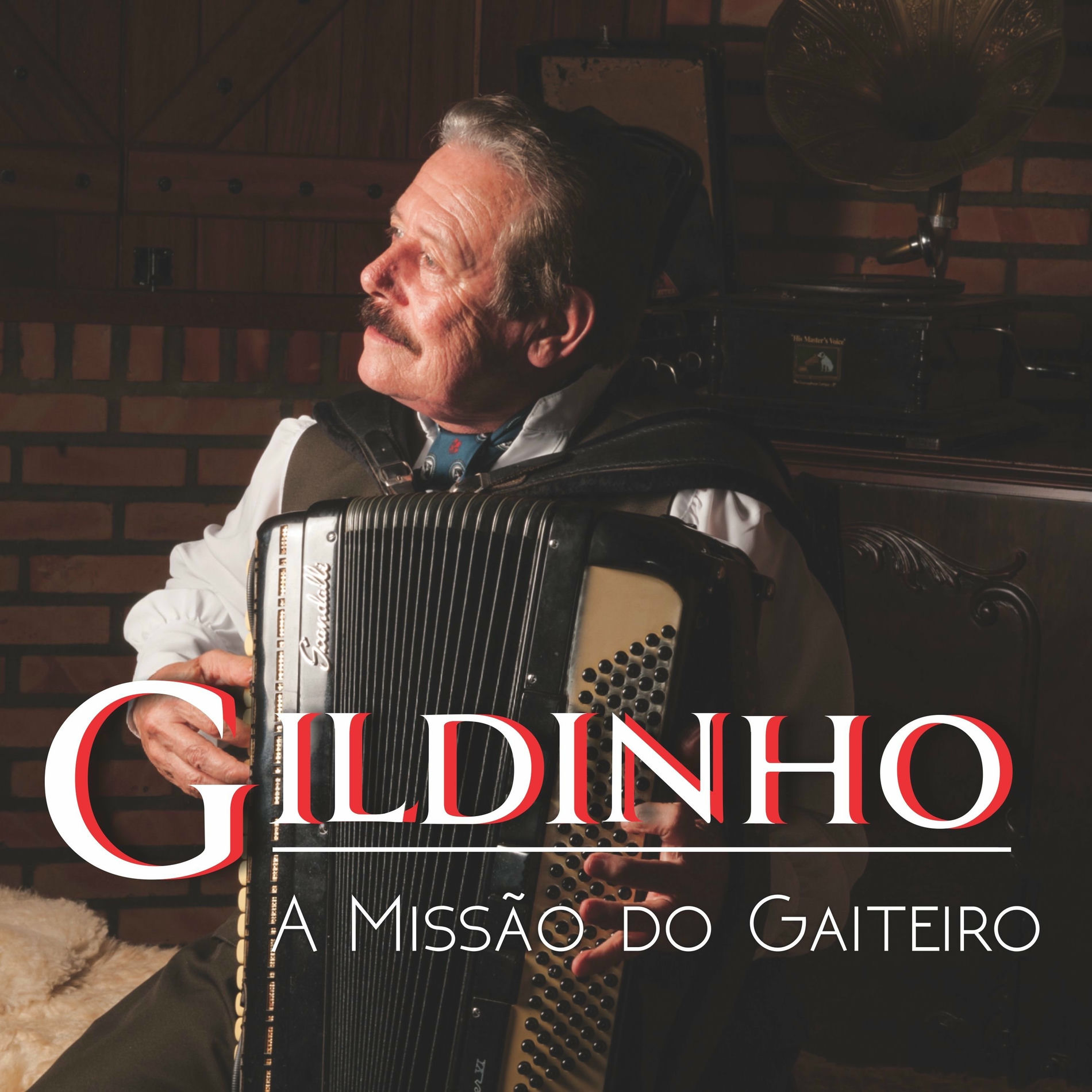 Album cover of A Missão do Gaiteiro