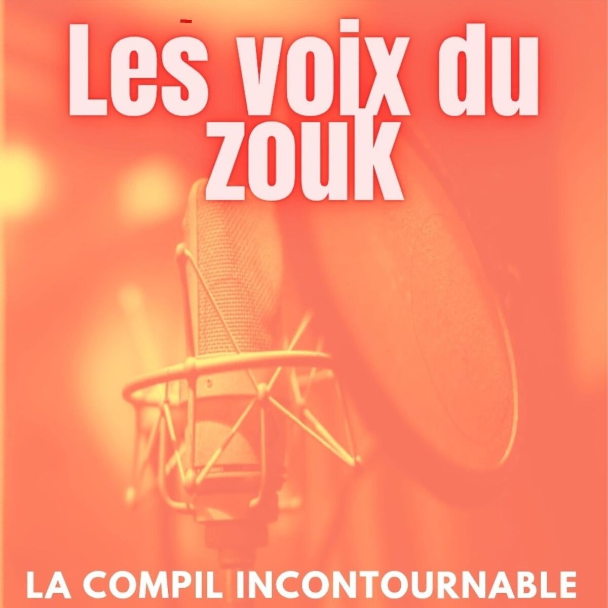 Album cover of Les voix du zouk (La compil incontournable)