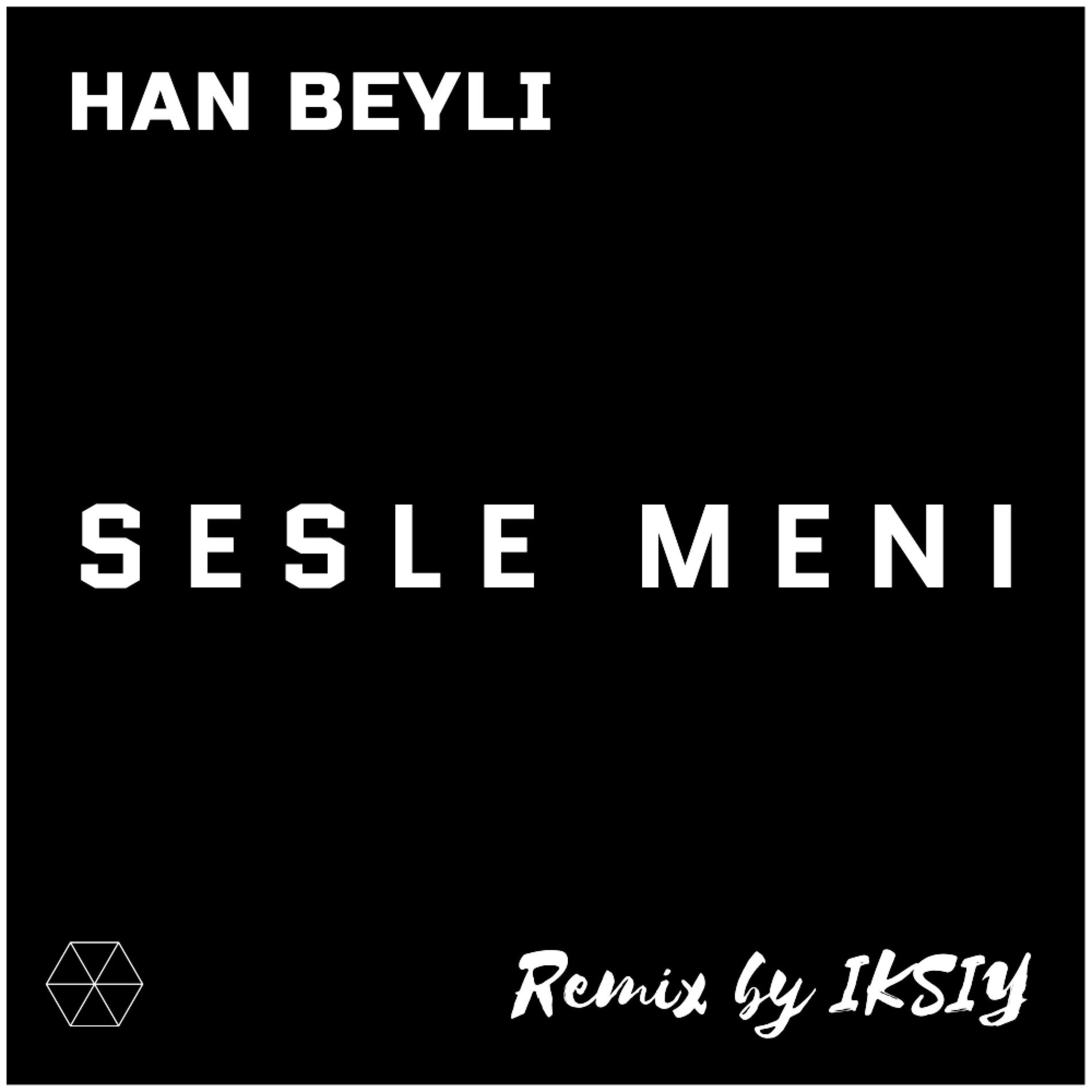 Album cover of Sesle Meni