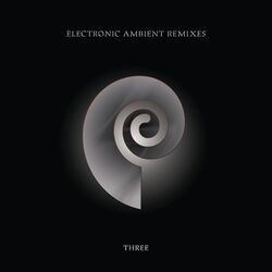 Cover of Electronic Ambient Remixes Three