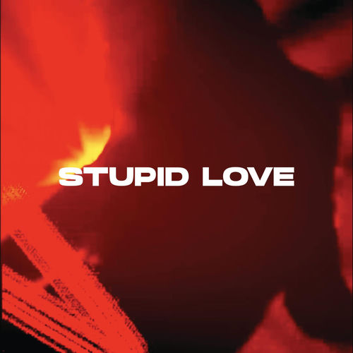 Stupid Love (feat. NOEL)
