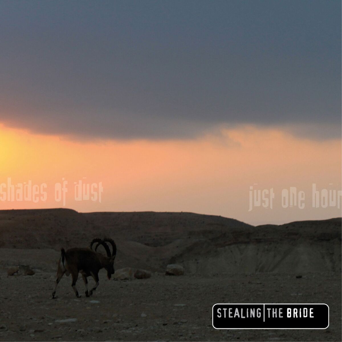 Album cover of Shades of Dust