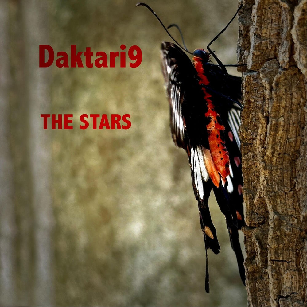 The Stars artwork