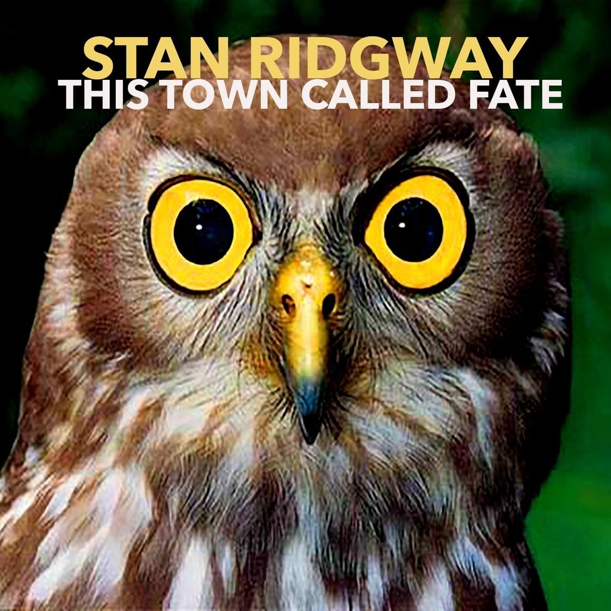 Album cover of This Town Called Fate