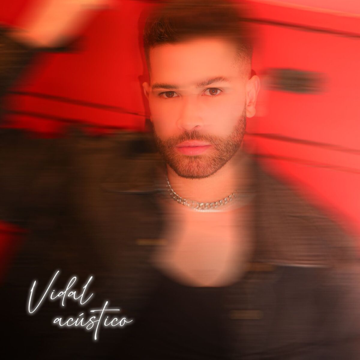 Album cover of Vidal Acústico