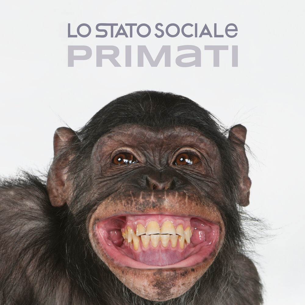 Picture of Primati