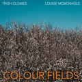 Colour Fields