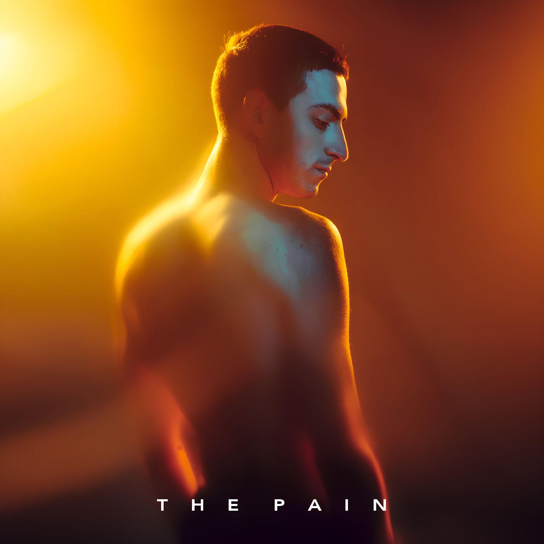 Album cover of The Pain