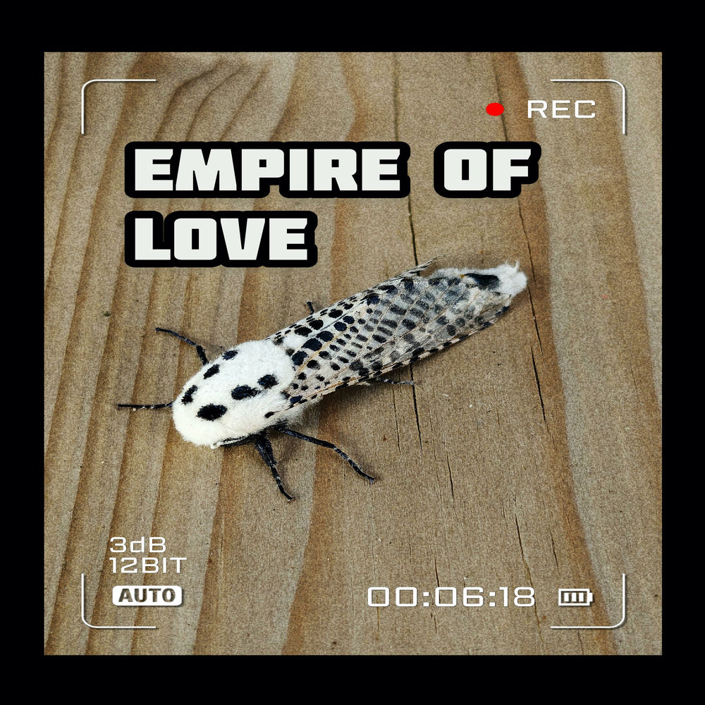 Album artwork for Empire Of Love by Alan Reader