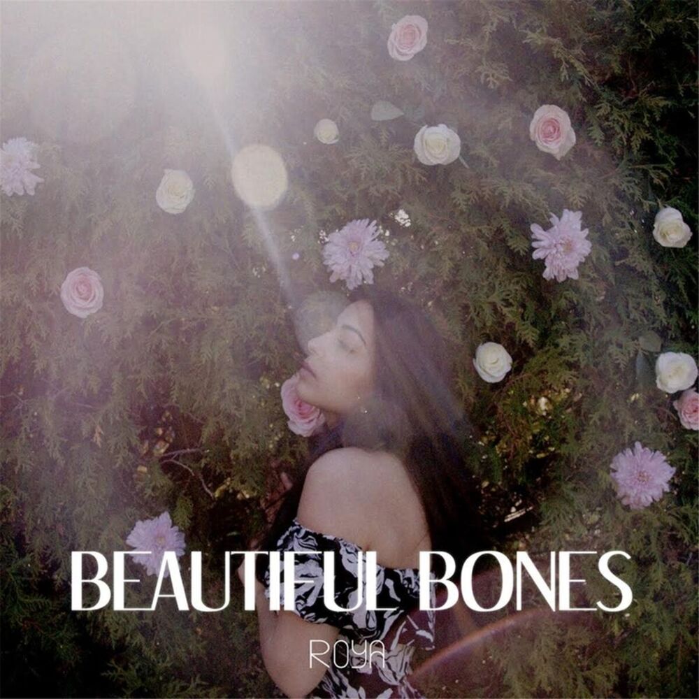 Picture of Beautiful Bones