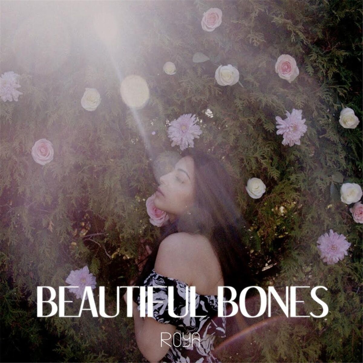 Album cover of Beautiful Bones