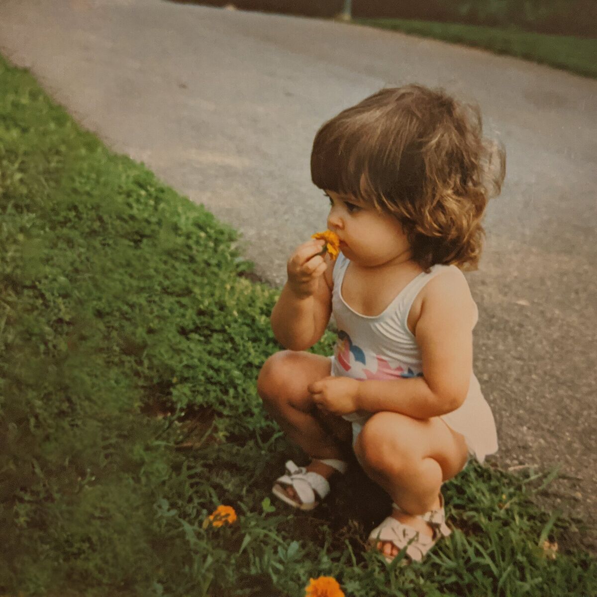 Album cover of The Time for Flowers