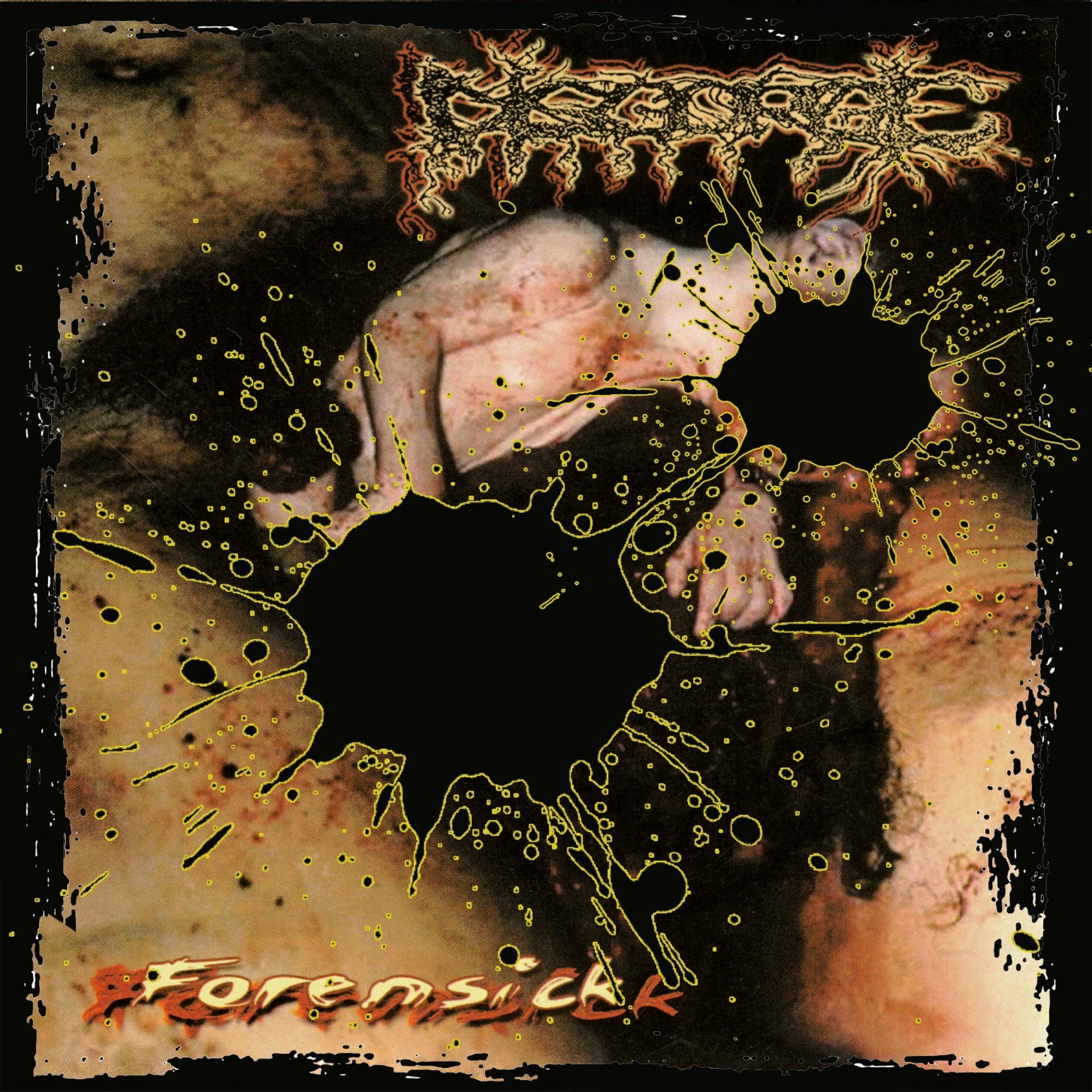 洋楽 Disgorge(mex) Disgorge Mex: albums, songs, concerts | Deezer