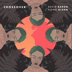 Cover of Crossover