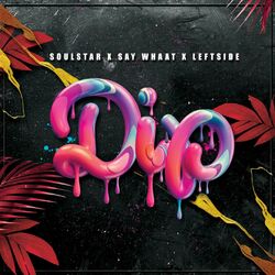 Cover of Dip