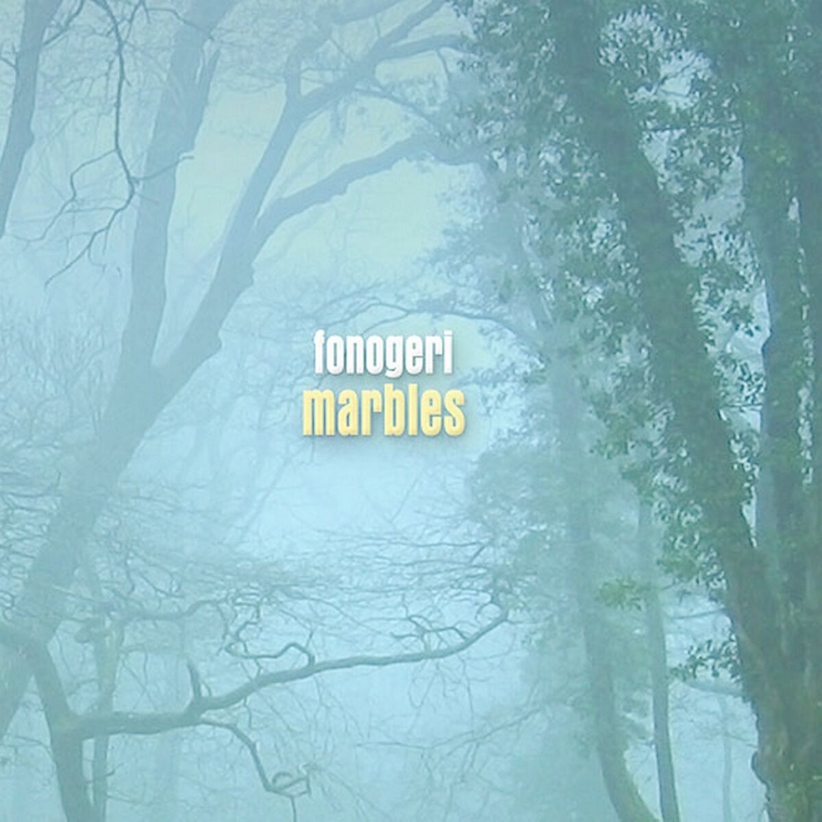 Album cover of Marbles