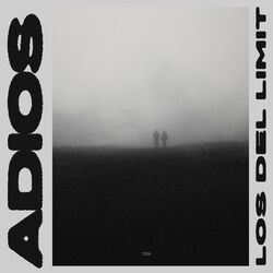 Cover of Adios