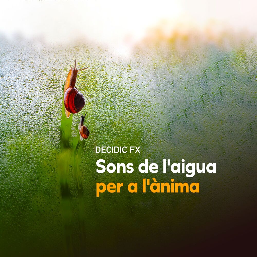 Picture of Sons de l'aigua per a l'ànima