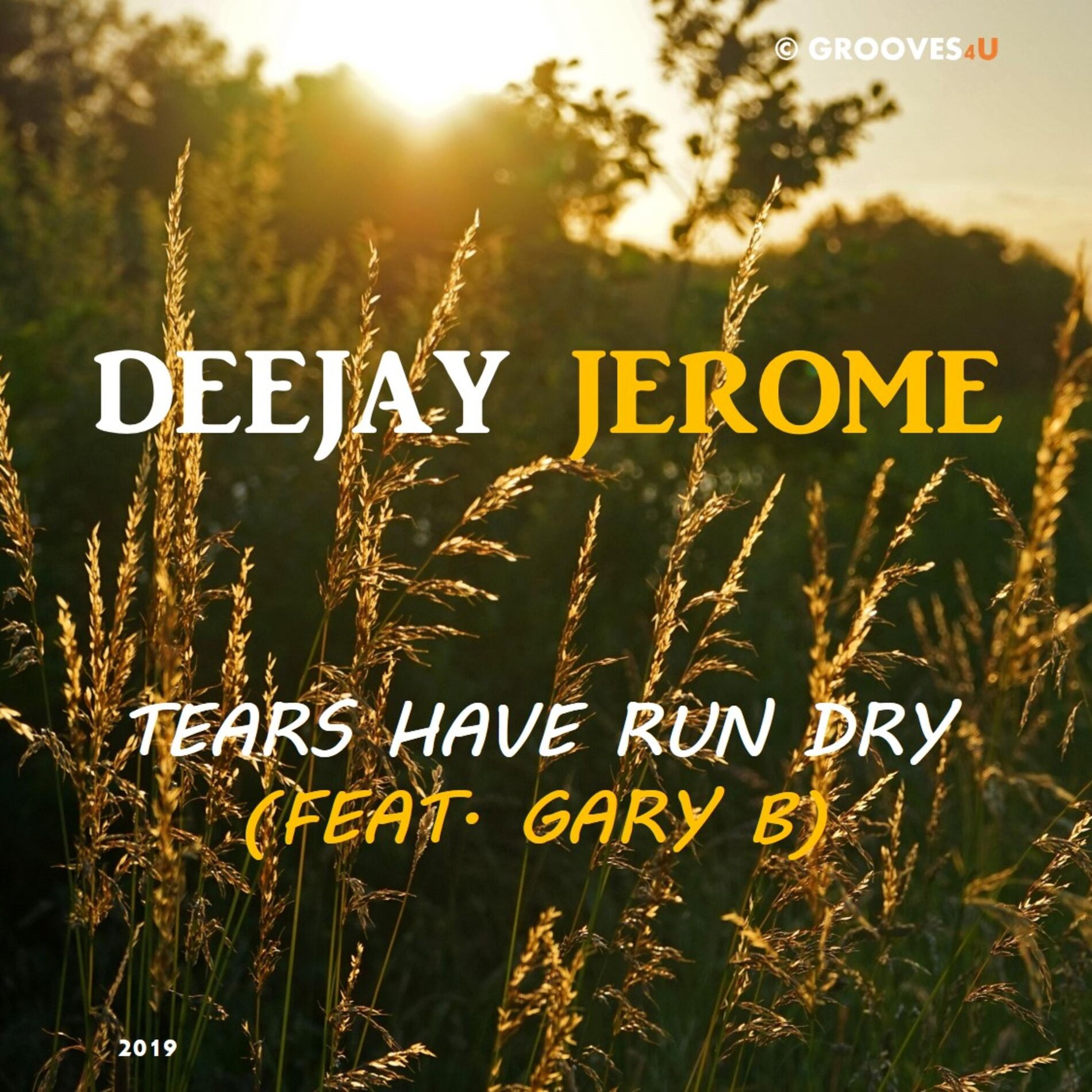 Album cover of Tears Have Run Dry (feat. Gary B)