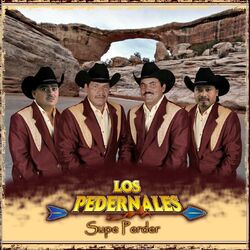 Cover of Supe Perder