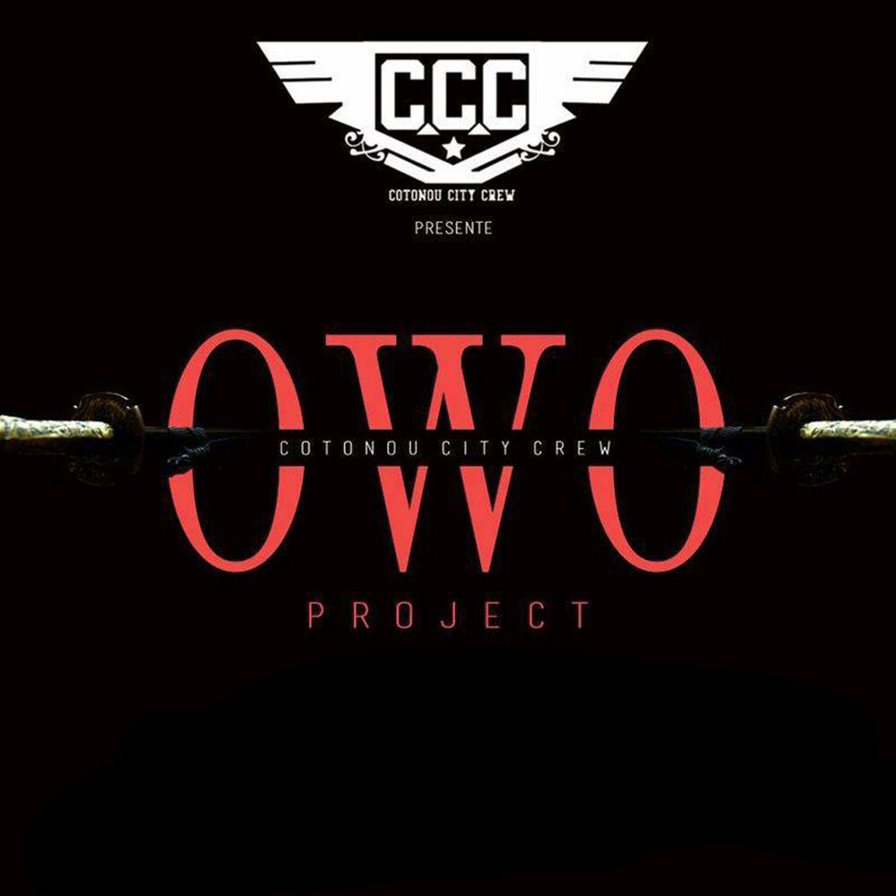 Picture of Owo projet