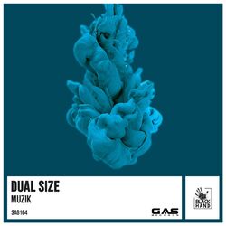Cover of Muzik