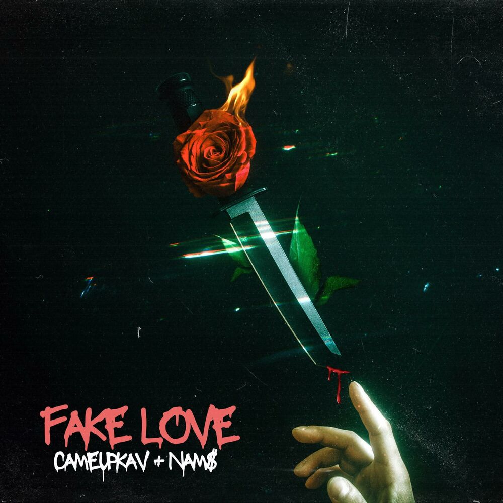 Picture of FAKE LOVE (feat. Nam$)