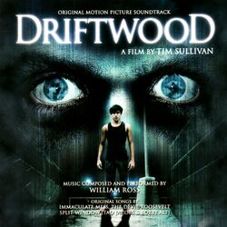 Cover of Driftwood: Original Motion Picture Soundtrack