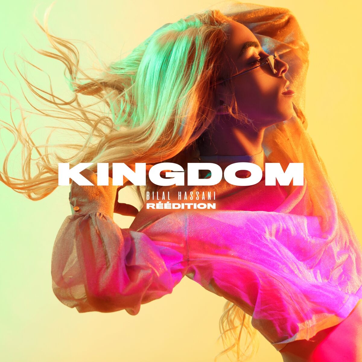 Album cover of Roi