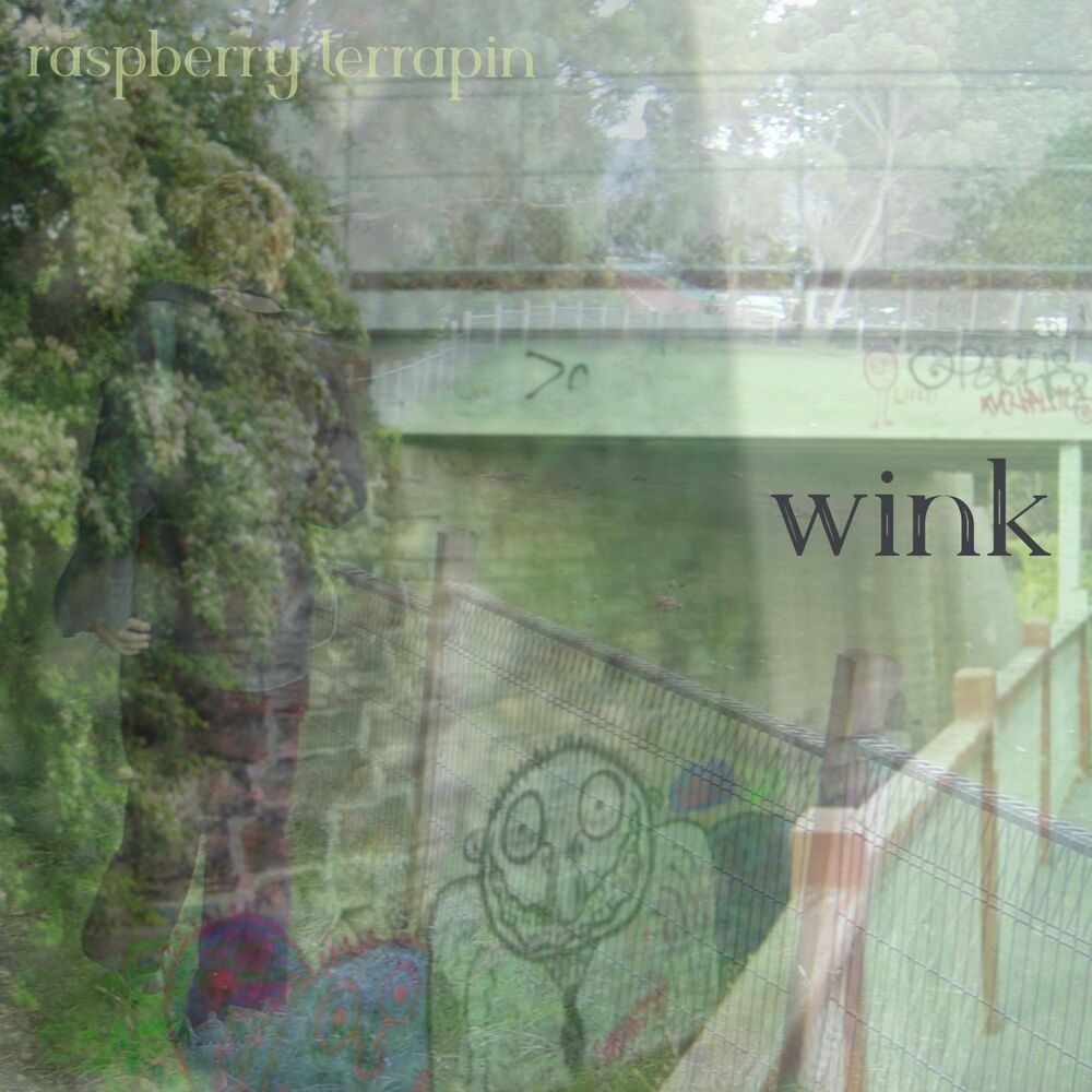 Picture of wink