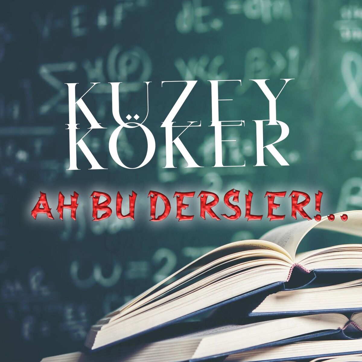 Album cover of Ah Bu Dersler