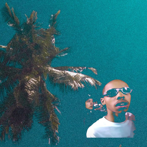 earl // flip artwork