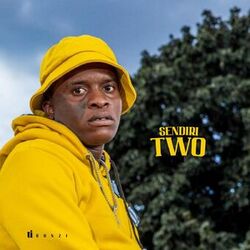 Cover of Sendiri Two