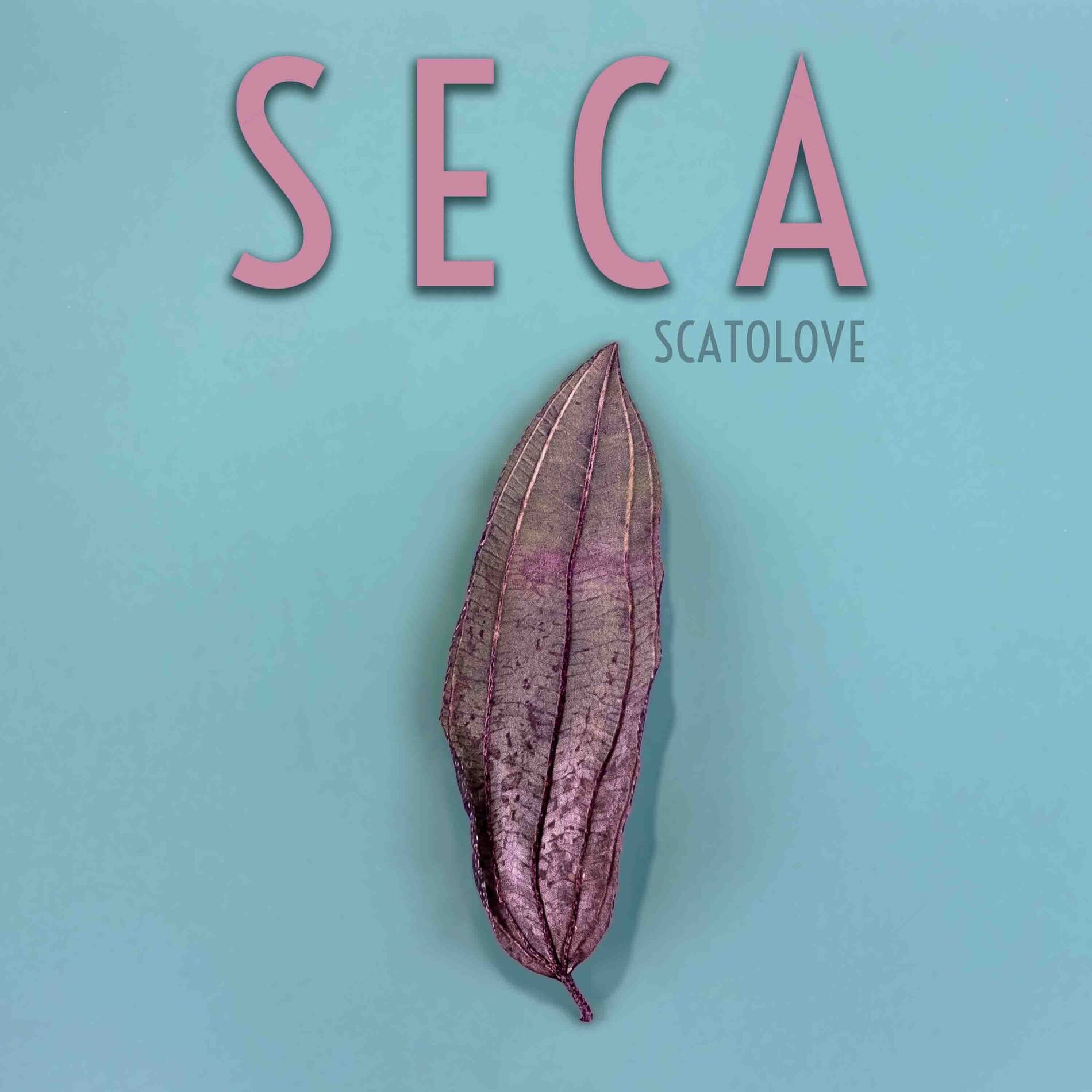 Album cover of Seca