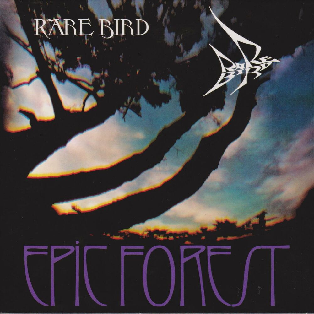 Picture of Epic Forest