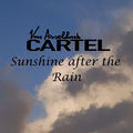 Sunshine After the Rain