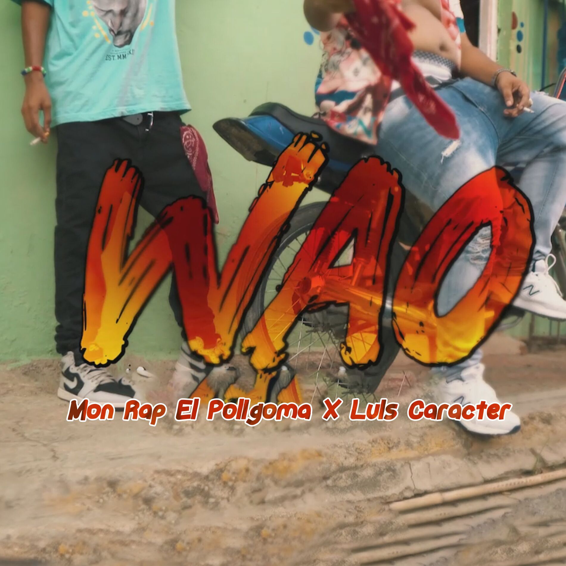 Album cover of Wao