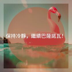 Cover of 保持冷靜，繼續巴薩諾瓦！