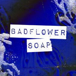 Cover of Soap