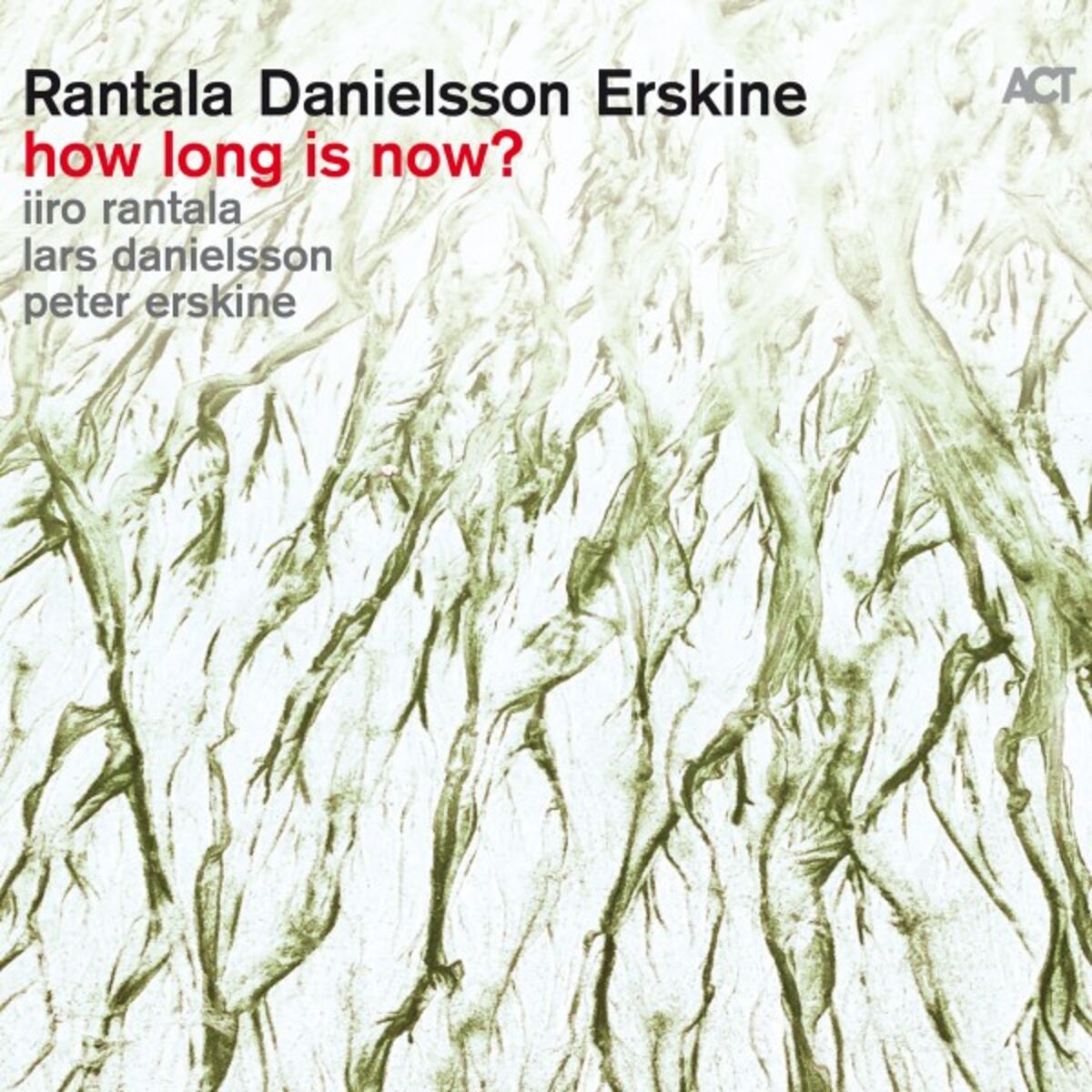 Album cover of Little Wing