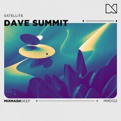 Cover of Satellite