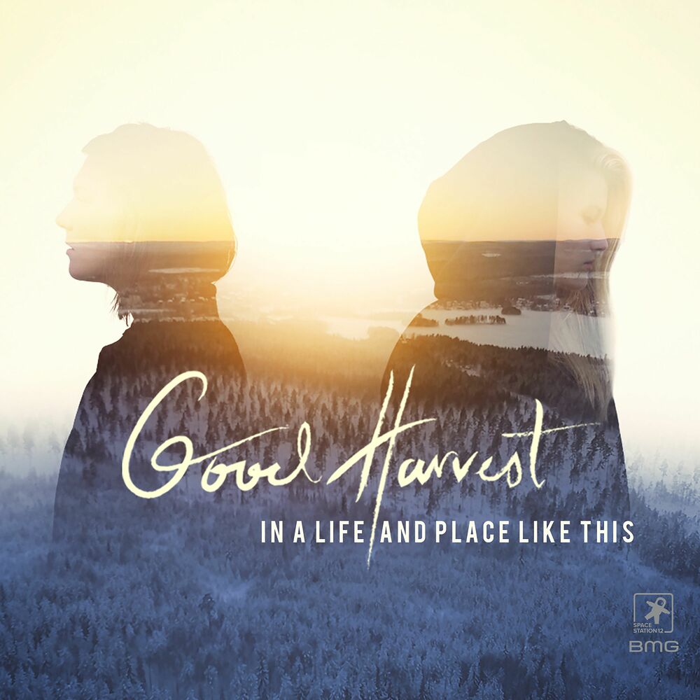 Picture of In a Life and Place Like This