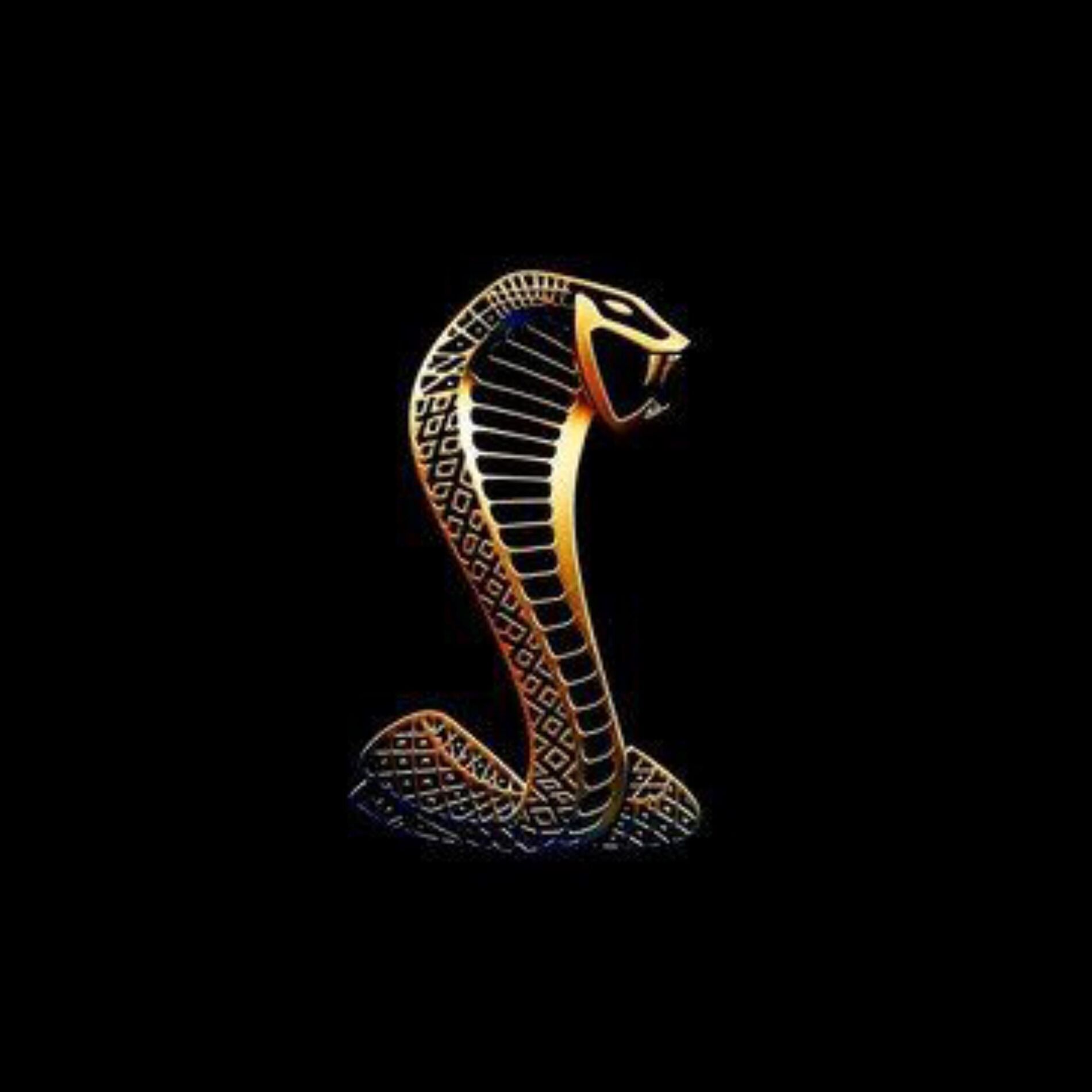 Album cover of Cobra (Beat Tape)
