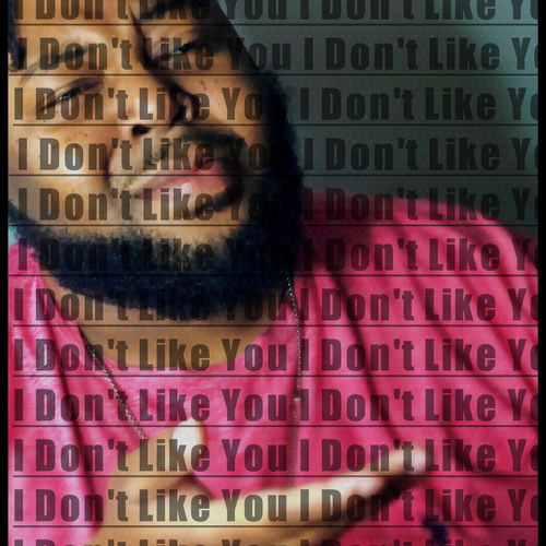 I Don't Like You
