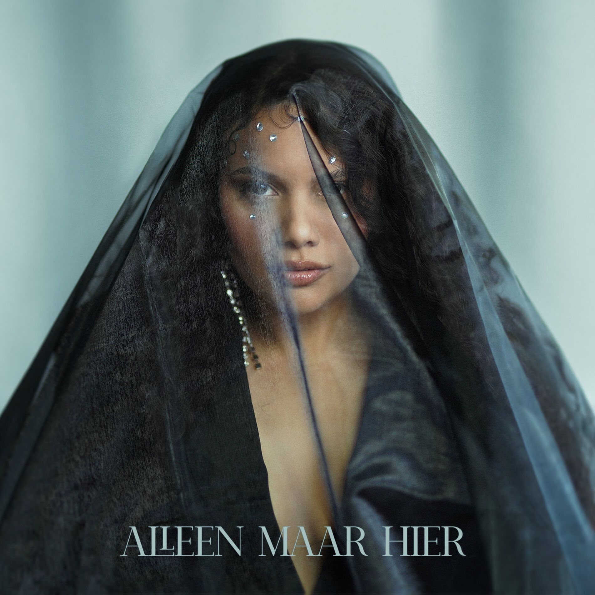 Album cover of Alleen Maar Hier