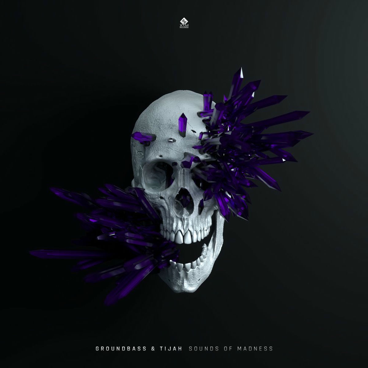 Album cover of Sounds of Madness