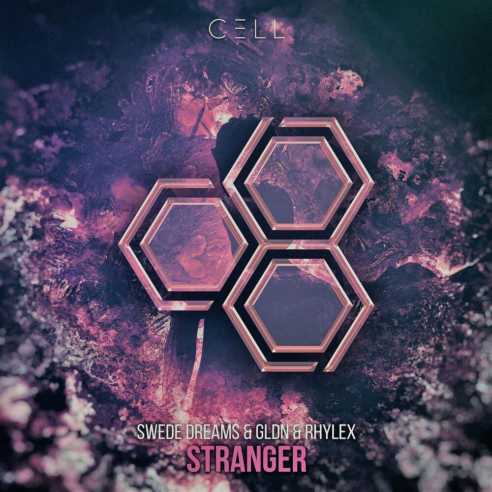 Picture of Stranger