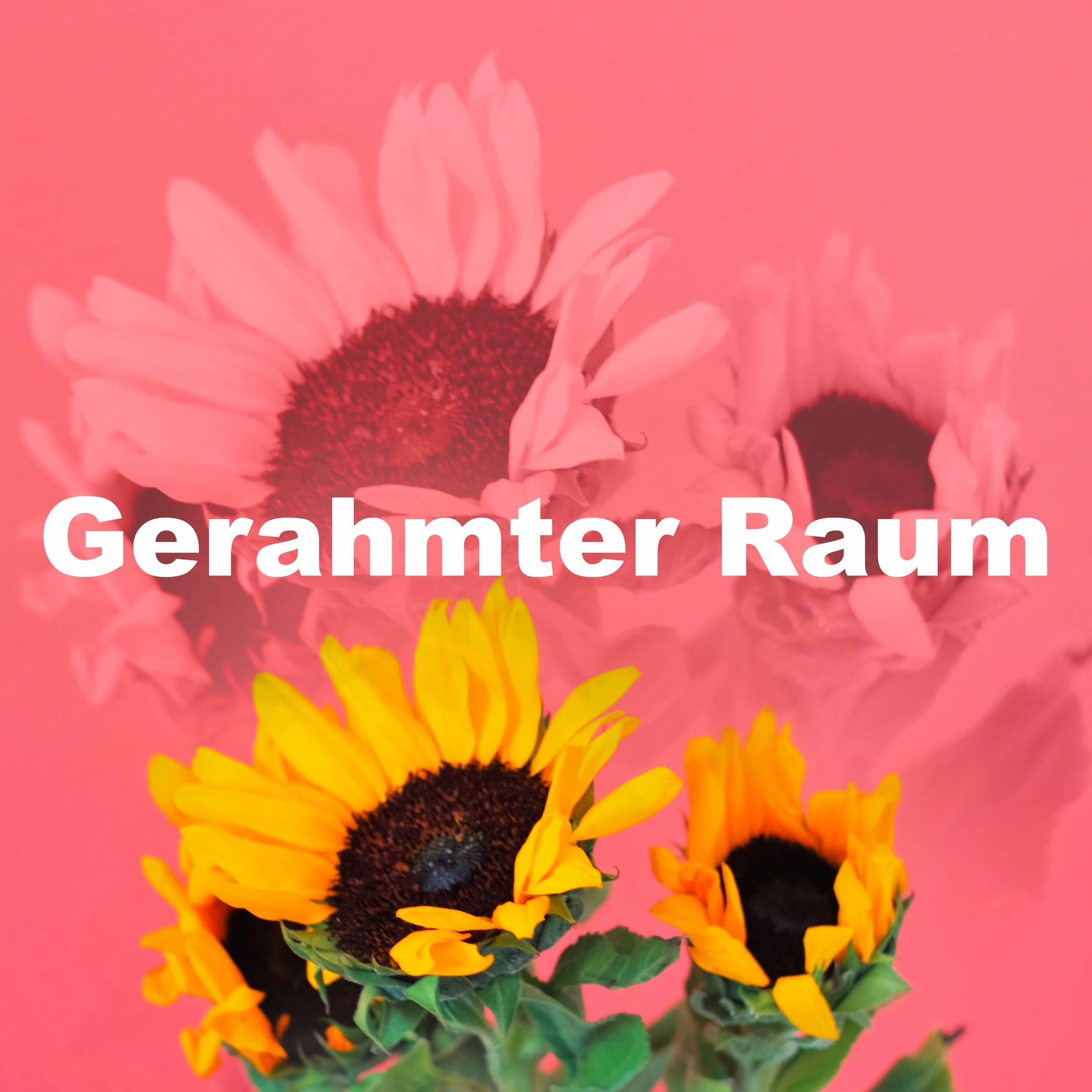 Album cover of Gerahmter Raum