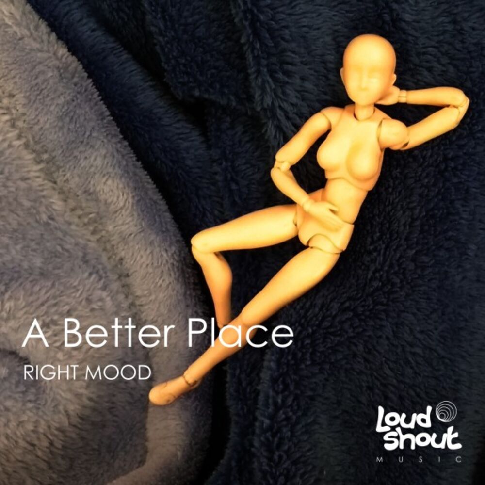 Picture of A Better Place